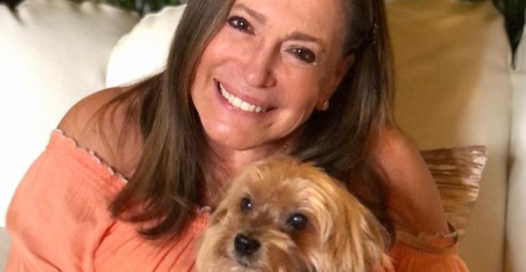 Susana Vieira aparece com cachorrinha nos bastidores e faz mistério: ”Gravando para a TV Globo”