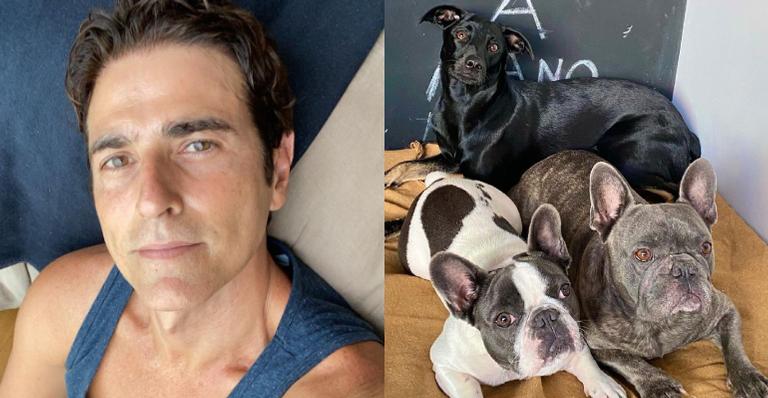 Reynaldo Gianecchini posta vídeo de seus cães sendo adestrados durante aula: ”Eu adoro acompanhar”