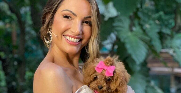 De vestido, cachorrinha de Patrícia Poeta faz pose para a foto e encanta demais: ”Que linda!”