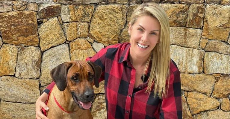 Ana Hickmann compartilha registros fofos dos filhotes de sua cachorrinha e brinca: ”Bebês cringe”
