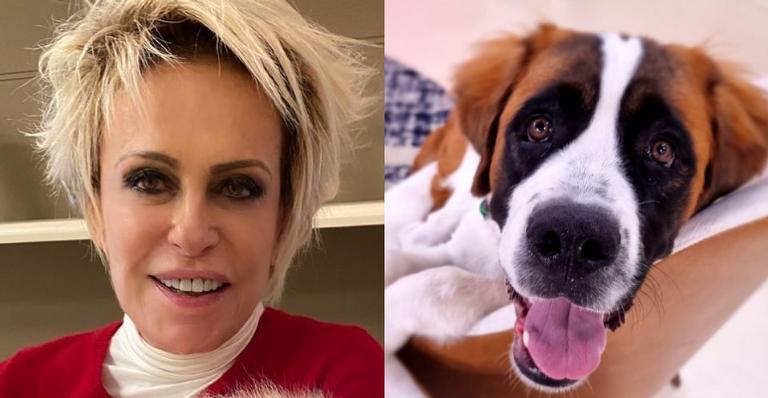 Ana Maria Braga diverte ao postar foto de seu cão de máscara: ”Esperando sua vez de vacinar”