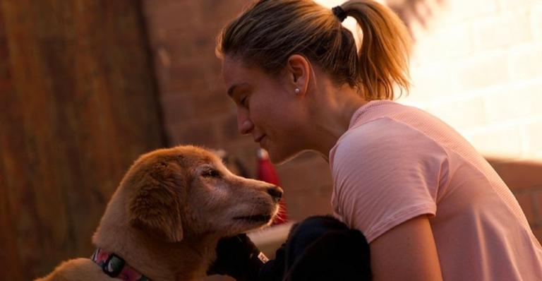 Fernanda Gentil se derrete por cachorrinho de estimação: ”Amo até explodir de amor”
