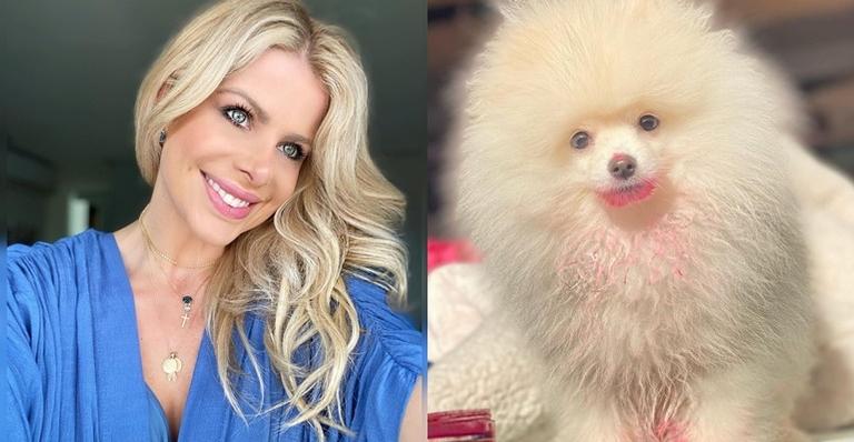 Karina Bacchi mostra travessura do seu cachorro após roubar tinta facial: ”Amanheceu pink”