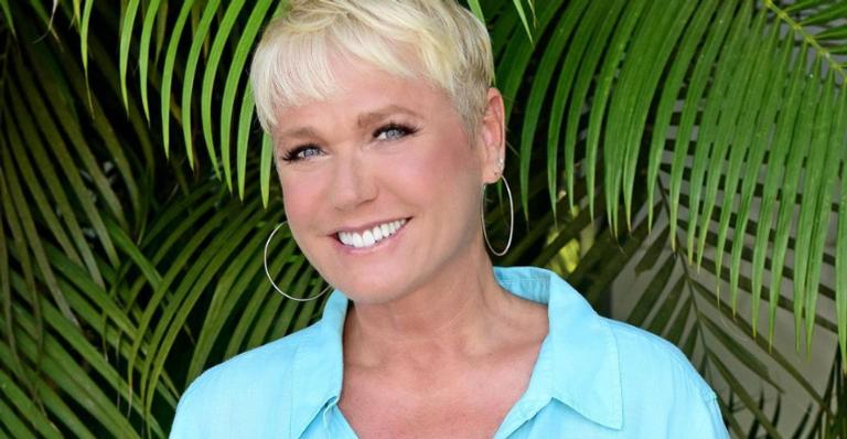 Xuxa Meneghel mostra cachorrinha deitada na mala de Sasha: ”Querendo ir para São Paulo!”