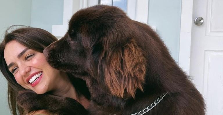 Após pintar o cabelo, Rafa Kalimann posa com sua cachorra e web brinca: ”Vocês estão iguais”