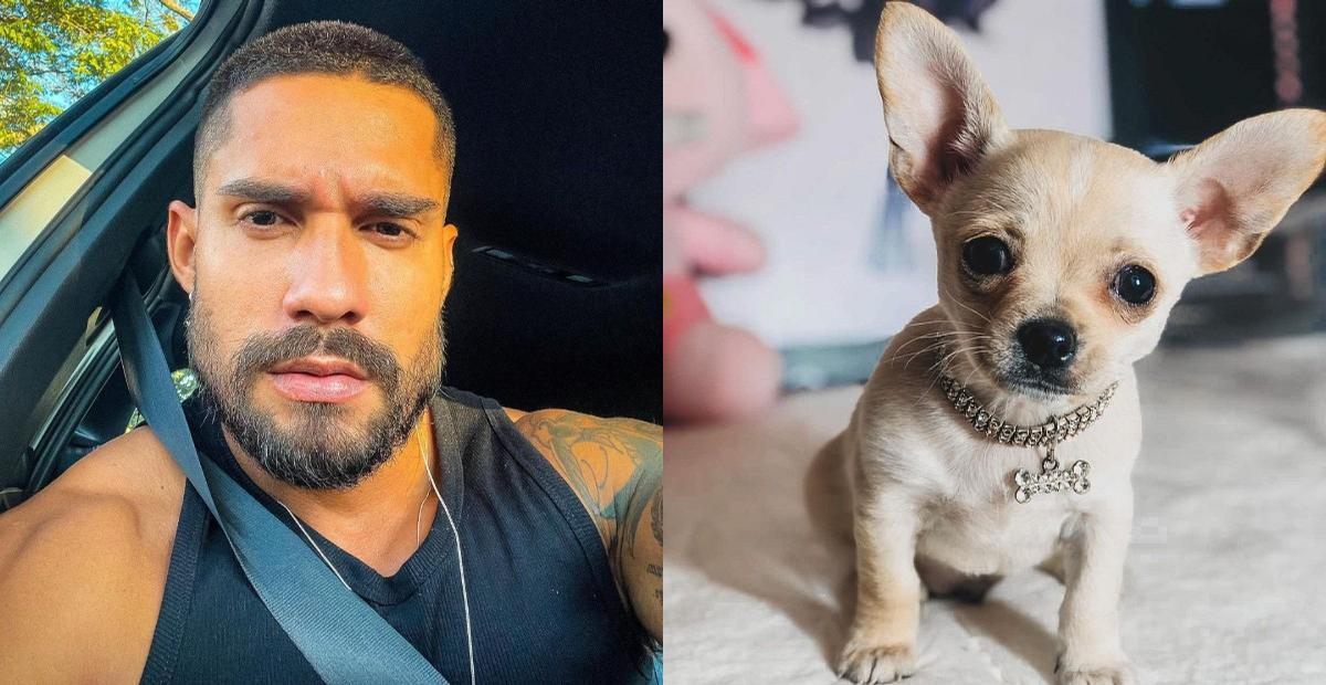 Bil Araújo compartilha registros com seu cachorrinho e derrete a web
