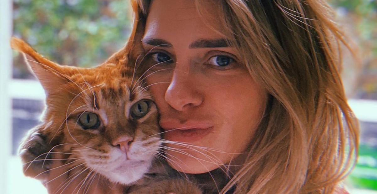 Carolina Dieckmann brinca com reação de seu gatinho em registro: ”Não gosta de tirar foto”