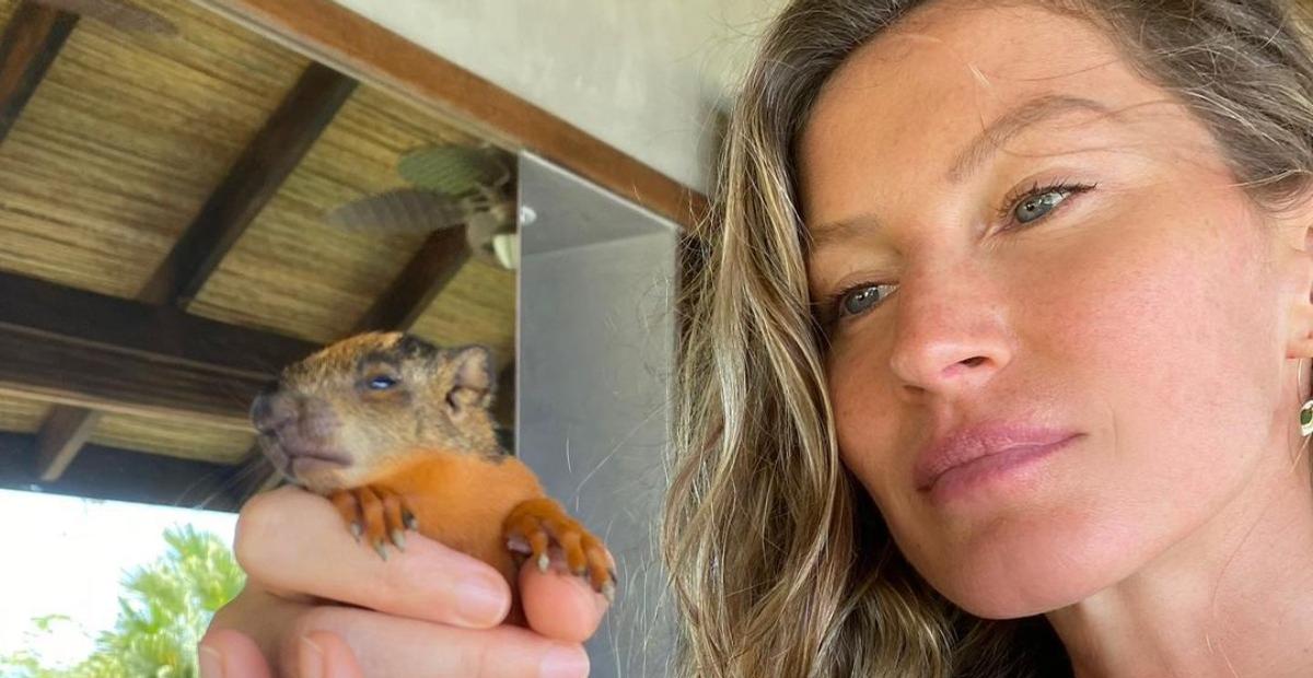 Gisele Bündchen resgata filhote de esquilo que caiu de árvore: ”Rezando para que ele fique bem”