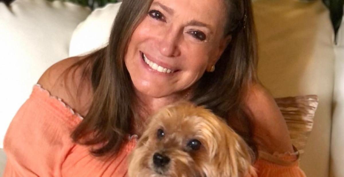 Susana Vieira mostra cachorrinhos com look de inverno e se derrete: ”Todos de pijaminha”