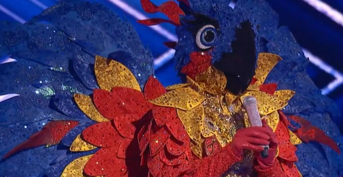 Público descobre real identidade da Arara do ‘The Masked Singer’: ”Fácil!”