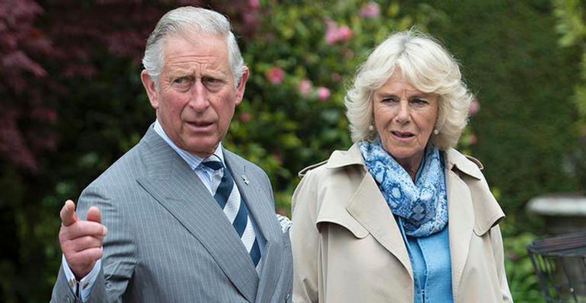 Conheça os mascotes de estimação do Príncipe Charles e da Duquesa Camilla Parker