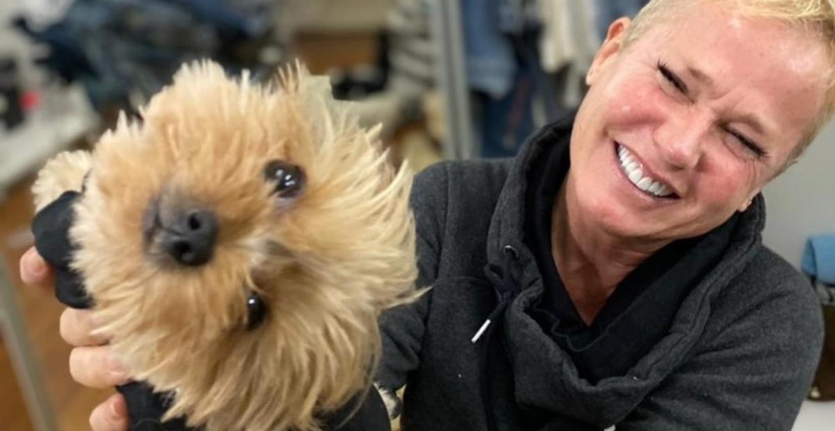 Xuxa Meneghel mostra cachorrinha vestida para o Halloween e se derrete: ”Amo bichos!”