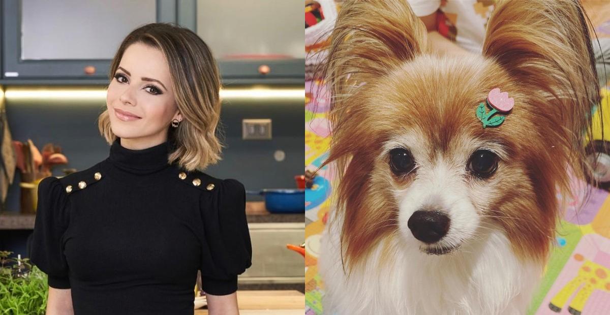 Sandy se despede de sua cachorrinha de 12 anos: ”A saudade já está enorme”