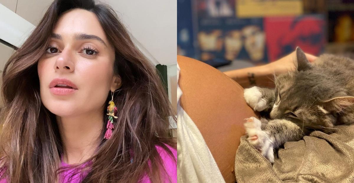 Grávida, Thaila Ayala publica registros de seu gatinho se esfregando em seu barrigão