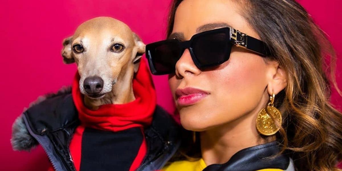 Poderoso! Anitta compartilha clique de Plínio, seu pet, com ‘coleira’ de R$ 5 mil