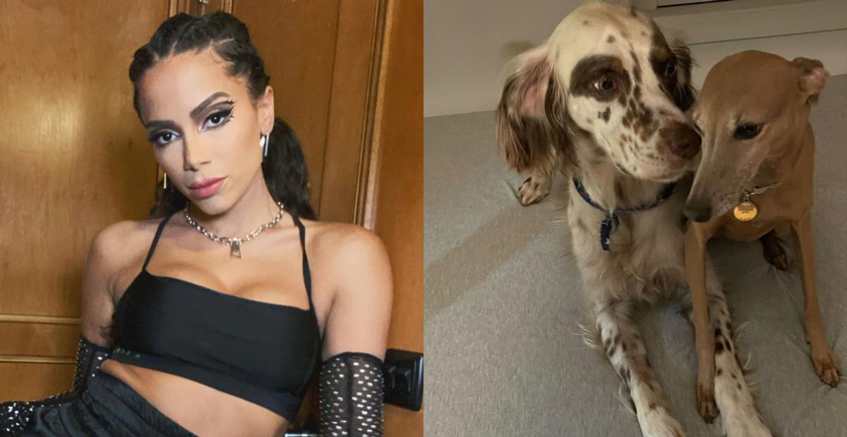 Anitta volta para os Estados Unidos e é recebida pelos seus cachorros