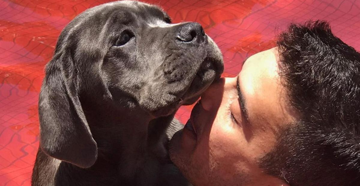 André Marques relembra cliques ao lado de cachorrinha falecida: ”Saudade da minha Panceta”