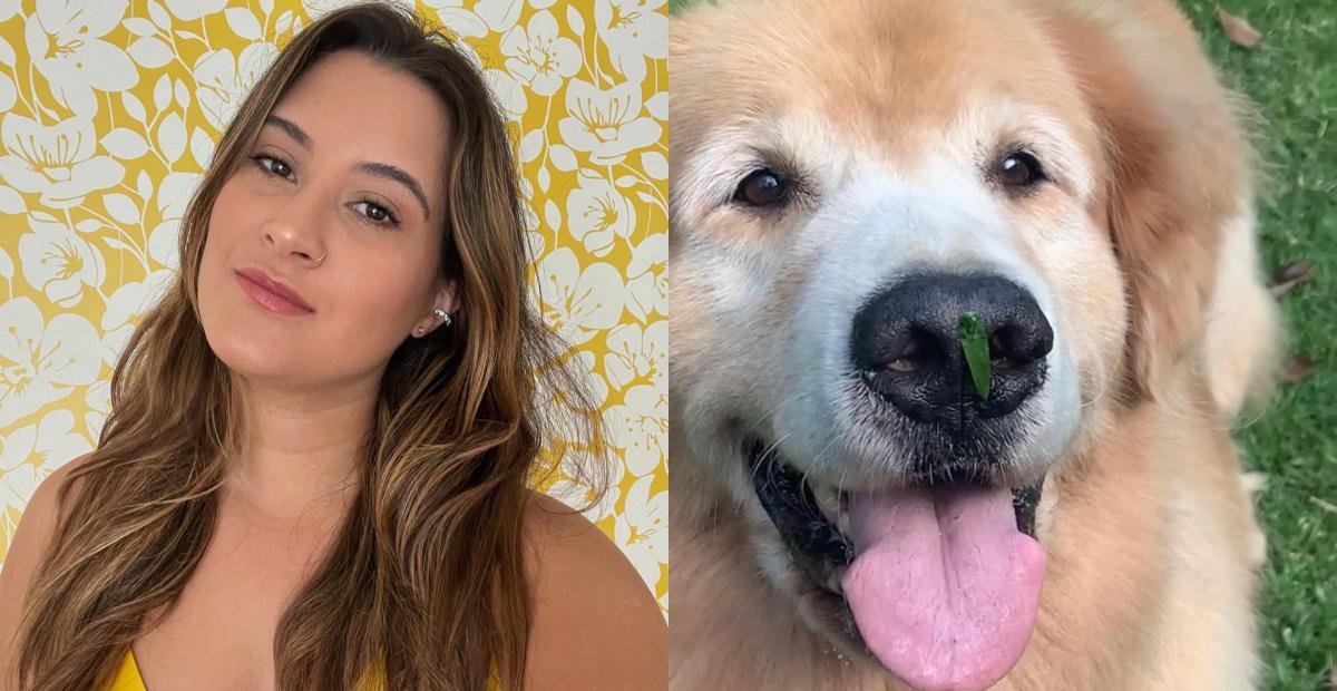 Bia Bonemer lamenta a morte de seu cãozinho: ”Meu sonho de infância e o amor da minha vida”
