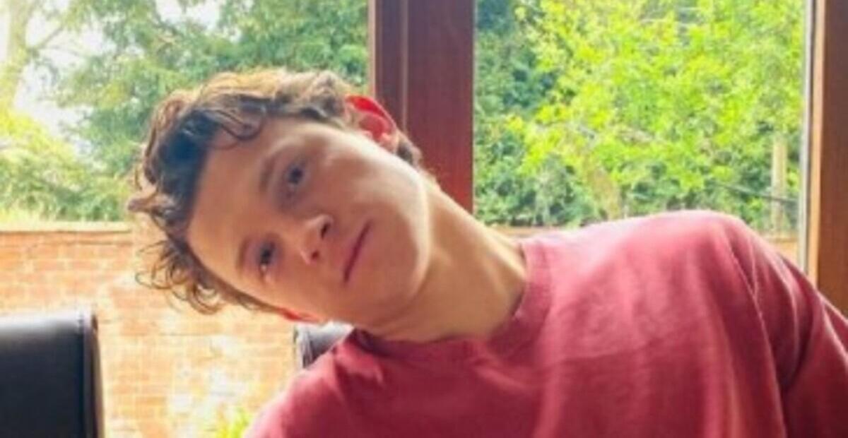 Tom Holland comemora lançamento de Homem Aranha: Sem Volta Para Casa com fotos do elenco