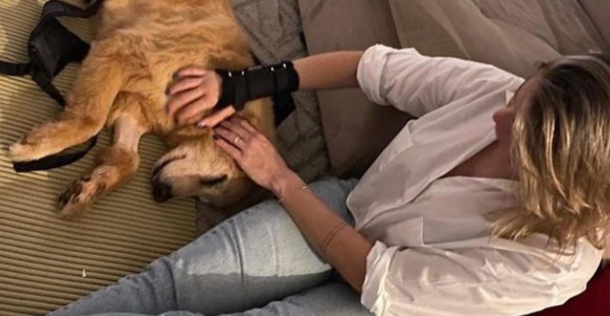 Fernanda Gentil comemora evolução da sua cachorra: ”Se levantou sozinha”